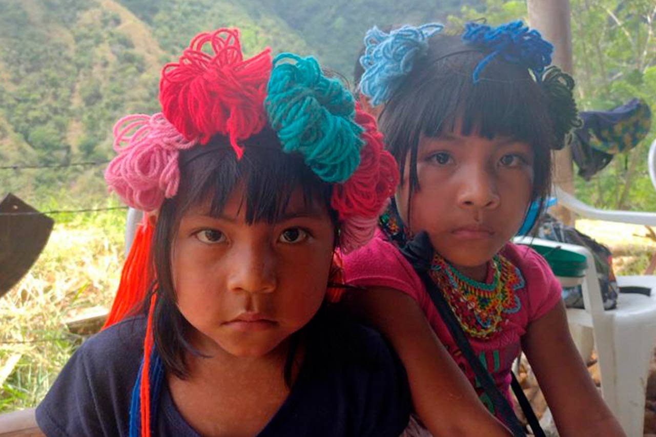 dw-saberes-milenarios-en-las-escuelas-colombianas-de-hoy-educacion-indigena-propia